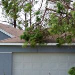 storm damage