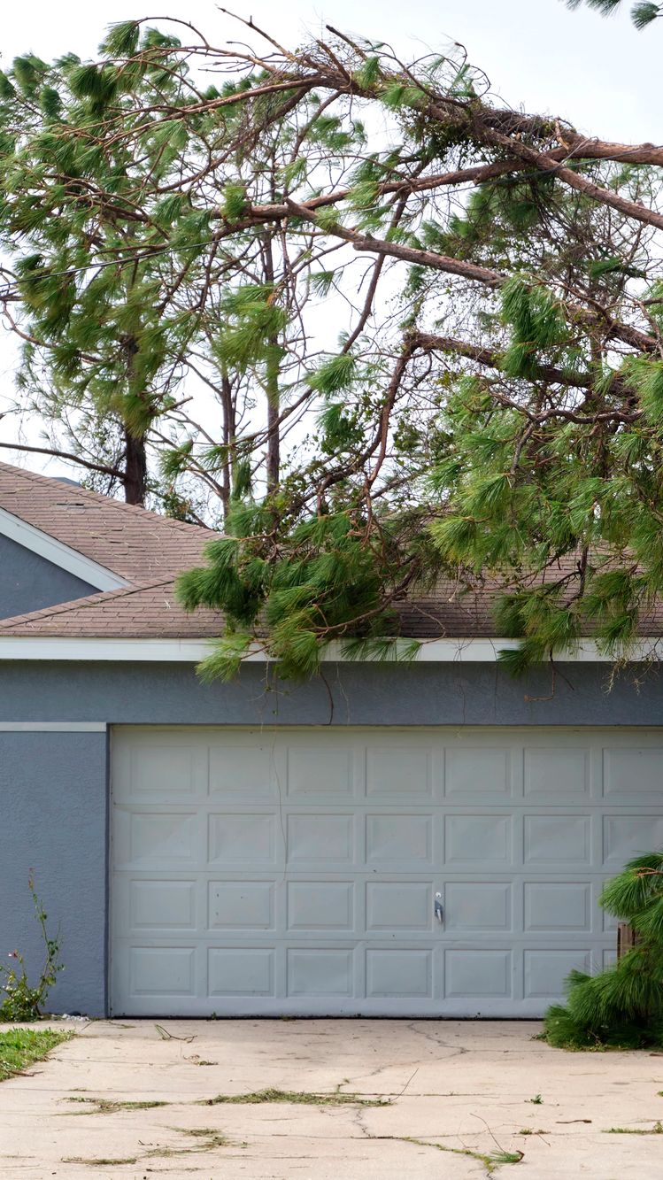 storm damage